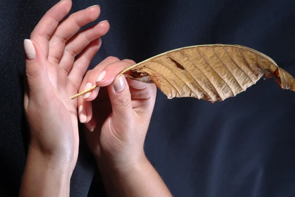 Kvinnans hand, som innehar ett blad av trä — Stockfoto