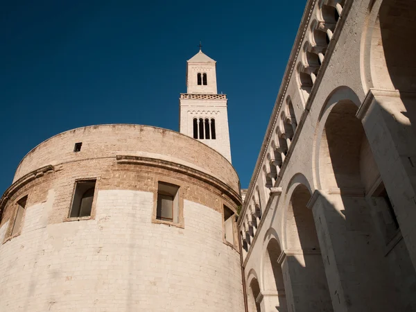 ローマ カトリック教のカテドラルの建物 — ストック写真