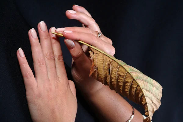 Main de femme, qui tient une feuille de bois — Photo
