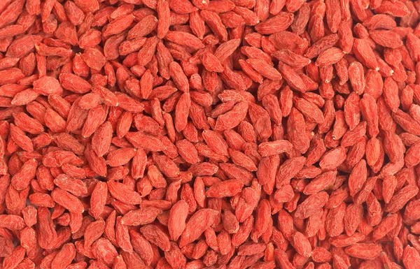 Red goji berries background — Stock Photo, Image