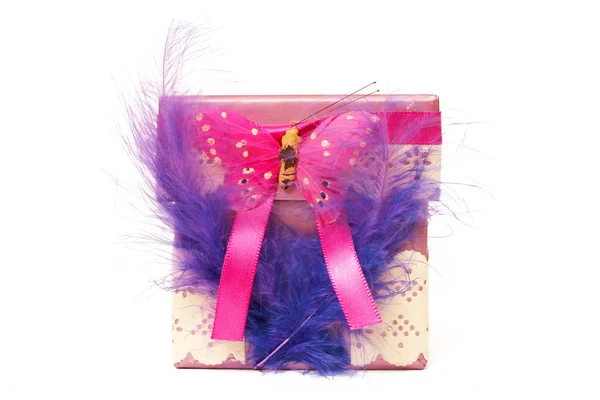 Small gift box with feathers and butterfly — Stock Photo, Image