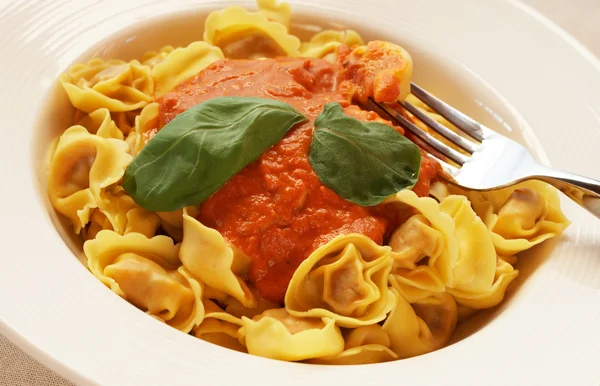 bolognese tortelloni tabak