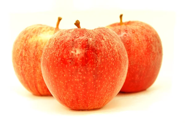 Manzanas — Fotografia de Stock