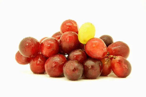 Uva negra con grano de uva blanca — Foto Stock