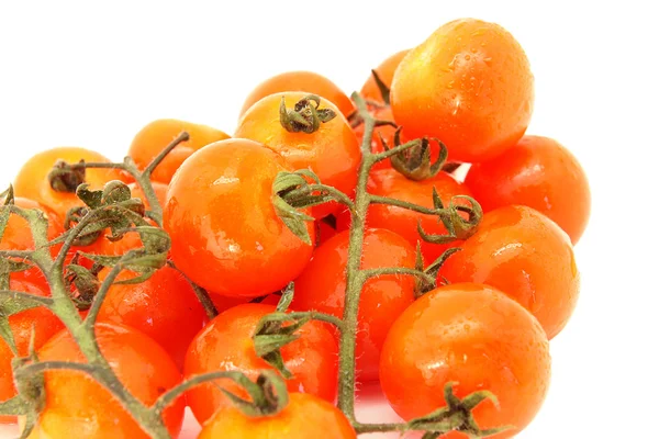 Tomate wiśni — Zdjęcie stockowe