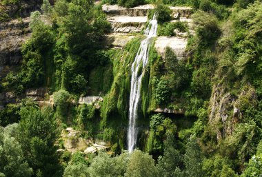 sant miquel FAI katarakt