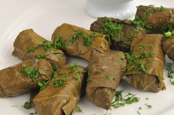 stock image Dolma with sauce