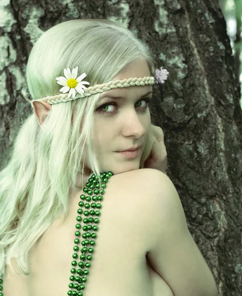 Elf κορίτσι ηρωίδα του παραμυθιού — Φωτογραφία Αρχείου
