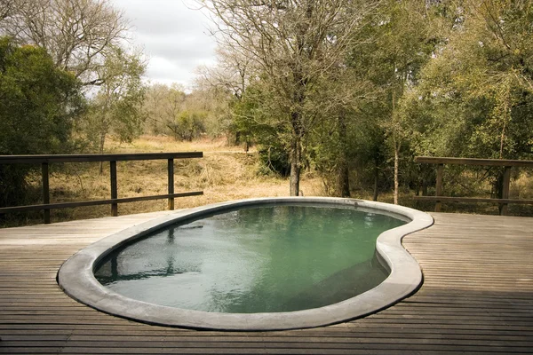 Pool auf einem Holzdeck in einer Lodge in Afrika lizenzfreie Stockfotos