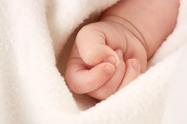 stock image Baby's fist