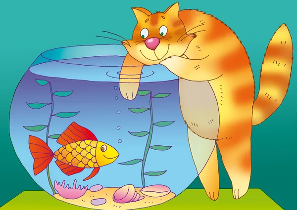 Red tom-cat — Stock Photo, Image