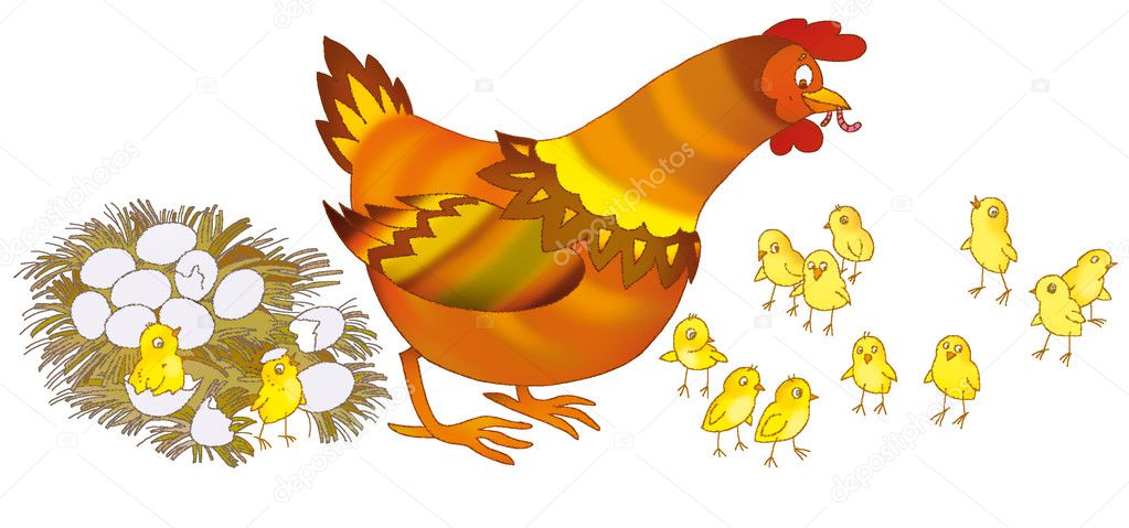 Hen and funny chickens