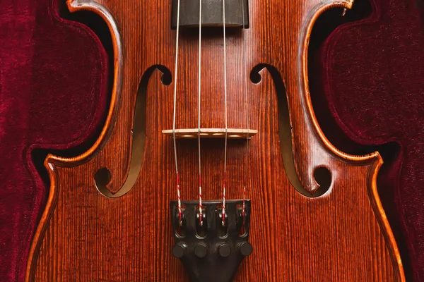 Класичні скрипки — стокове фото