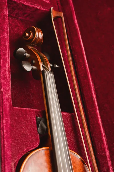 Violino clássico — Fotografia de Stock