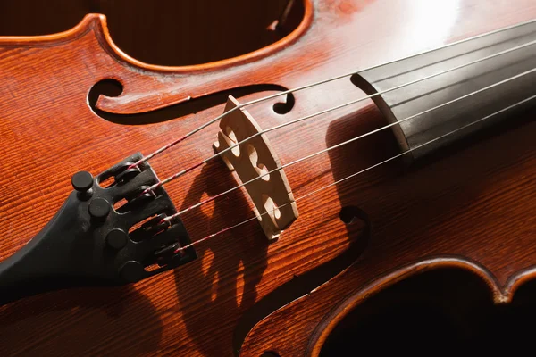 Классическая скрипка — стоковое фото