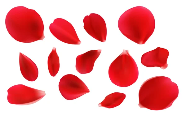 Rote Rosenblätter — Stockvektor