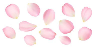Rose petals clipart