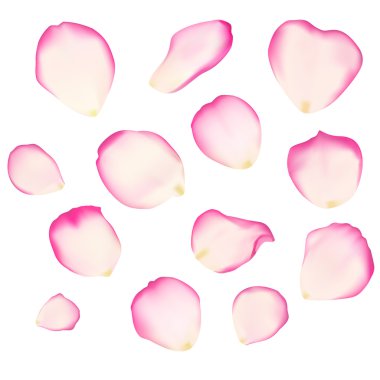 Set of bright rose petals clipart
