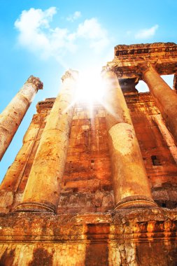 Jupiter's temple, Baalbek, Lebanon clipart