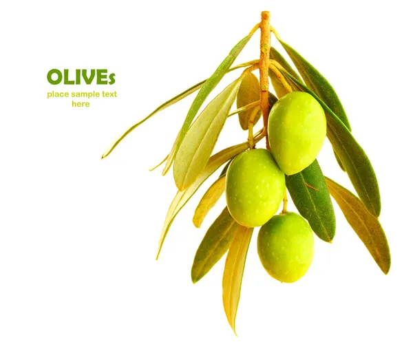 Olives fraîches — Photo