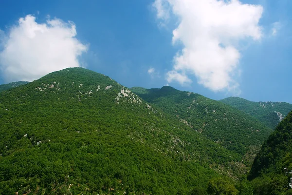 Yeşil dağlar — Stok fotoğraf