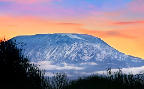Kilimanjaro dağı — Stok fotoğraf