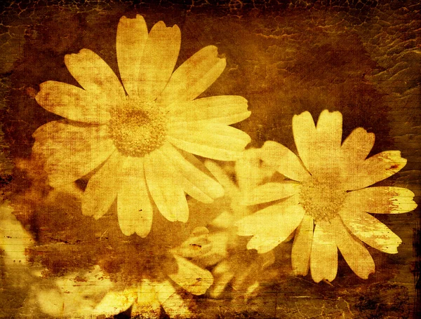 Abstrato floral grunge fundo — Fotografia de Stock