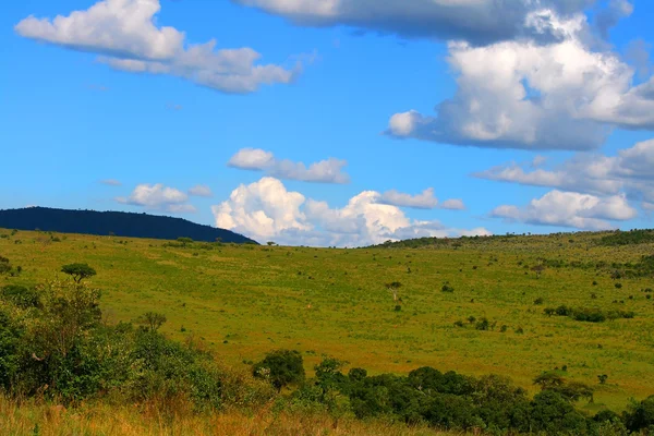 Prachtige Afrikaanse landschap — Stockfoto