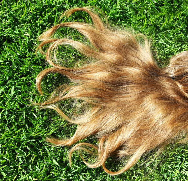 Closeup on beautiful hair — Stock Photo, Image