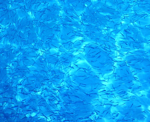 Fond bleu d'eau — Photo