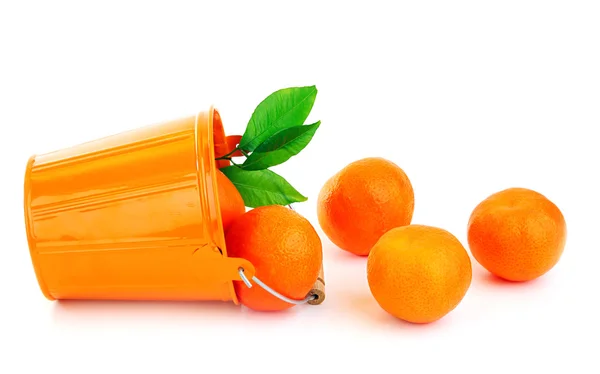 Zralé čerstvé mandarinky — Stock fotografie