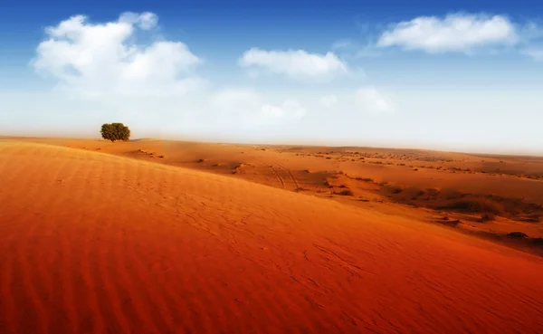 Extreme Wüste — Stockfoto