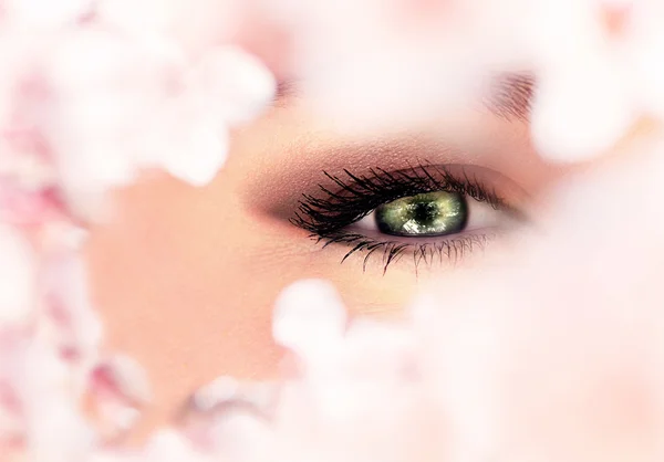 Bellissimo occhio verde — Foto Stock