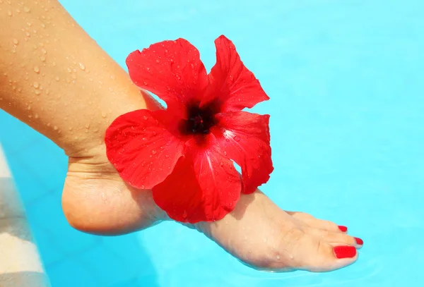 プールで美しい女性の足 — ストック写真
