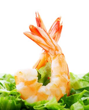 Shrimp salad clipart