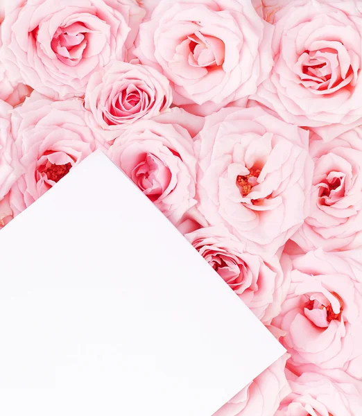 Tarjeta de felicitación con rosas — Foto de Stock