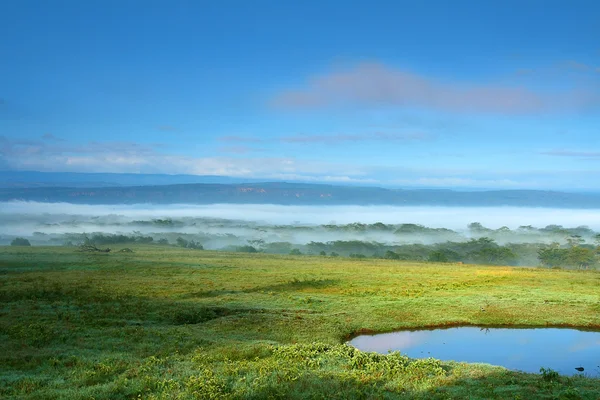 Güneşli çayır ve göl — Stok fotoğraf