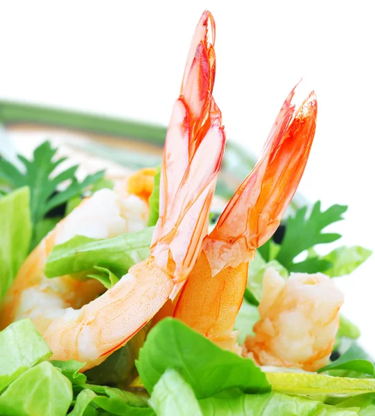 Salade de crevettes — Photo