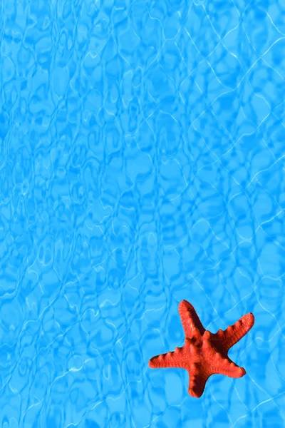 Water achtergrond met rode starfish — Stockfoto