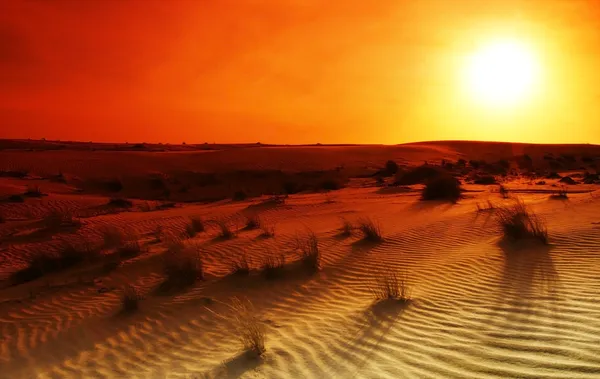 Deserto extremo — Fotografia de Stock
