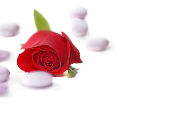 红玫瑰与糖果 — 图库照片
