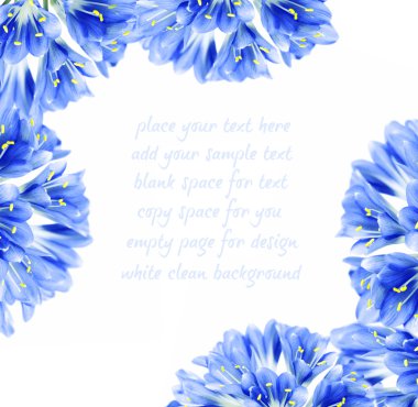 Blue flower border clipart