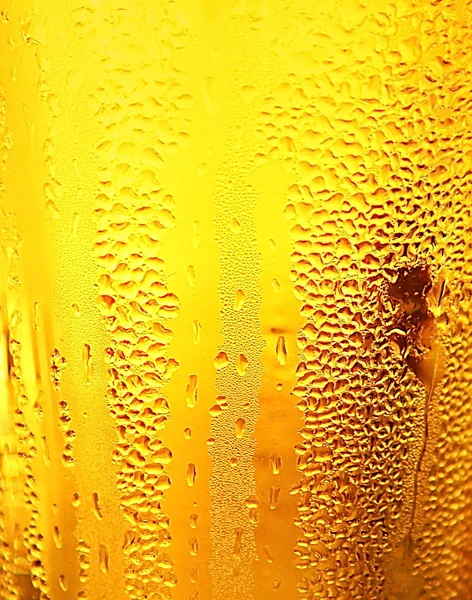 Fond de bière abstrait — Photo