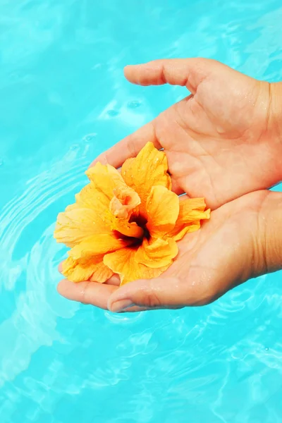 Mooie vrouwelijke handen in het zwembad — Stockfoto