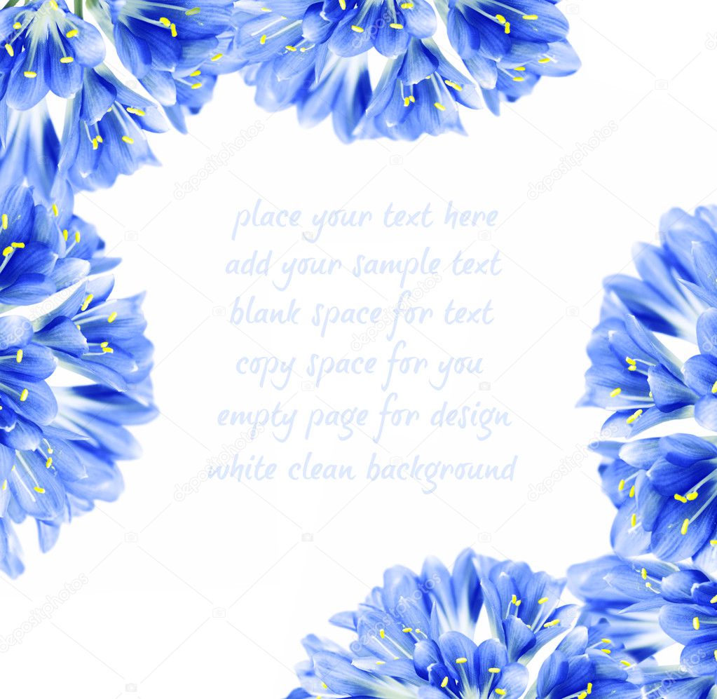 Marco de frontera de flor azul fotos de stock, imágenes de Marco de  frontera de flor azul sin royalties | Depositphotos
