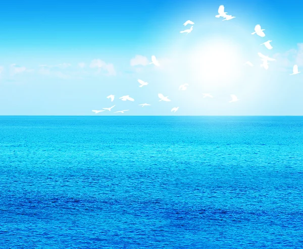 Mare blu profondo con uccelli — Foto Stock