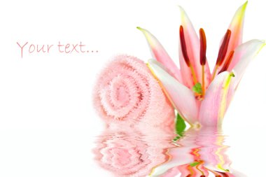 Pink lily in water clipart