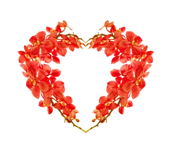 Червоні orchid серця — стокове фото