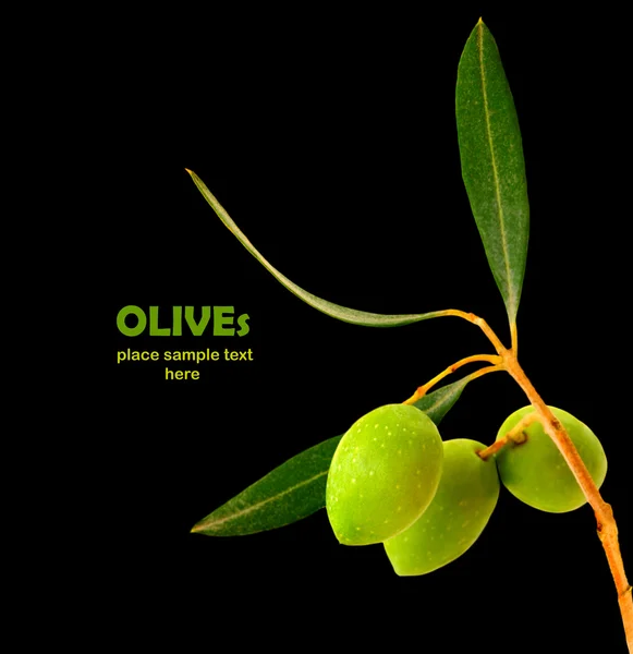 Verse olijven — Stockfoto
