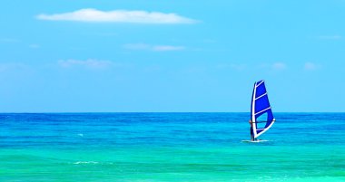 panoramik plaj manzara windsurfer oynatma ile